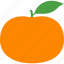 citrus, fruit, leaf, mandarin, mandarine, orange, tangerine 