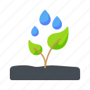water cycle, water drops, leaf, plant, growing, gardening, planting, ecology, nature, grow
