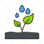 water cycle, water drops, leaf, plant, growing, gardening, planting, ecology, nature, grow 