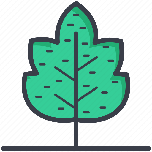Autumn, foliage, leaf, maple leaf, winter leaf icon - Download on Iconfinder