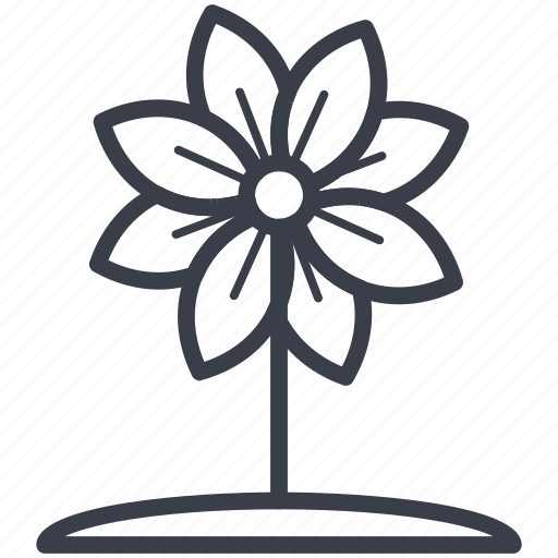 Bloodroot, bloodroot flower, flower, nature, spring flower icon - Download on Iconfinder