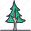 evergreen tree, fir tree, larch tree, pine tree, tree 