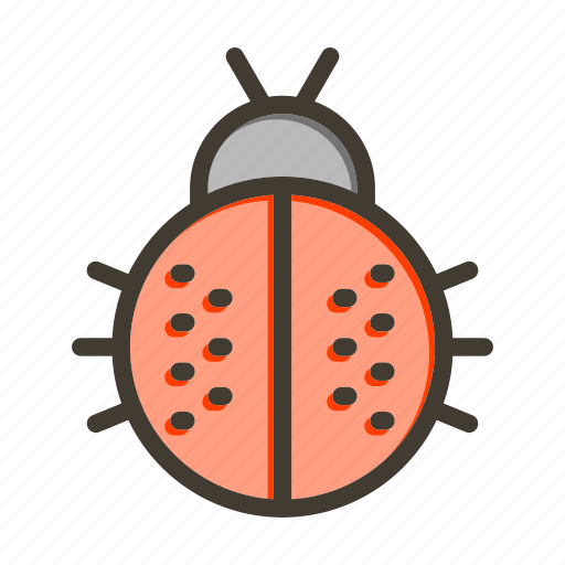 Ladybug, insect, bug, animal, fly icon - Download on Iconfinder