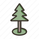 pine tree, tree, nature, christmas, decoration