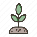 sprout, plant, nature, ecology, growth