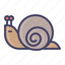 mollusc, shell, slow, sluggish, snail