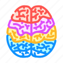 brain, mapping, neuroscience, neurology, doctor, medical