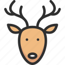 animal, christmas, deer, fawn, new, xmas, year
