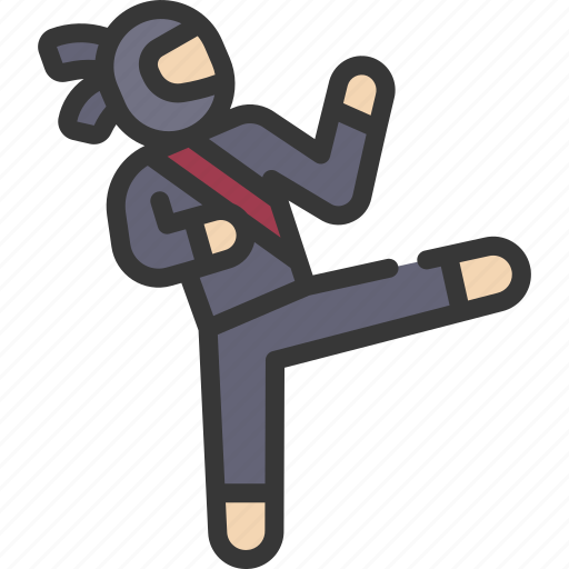 Kick, assassin, shinobi, fighting, warrior, stance icon - Download on Iconfinder
