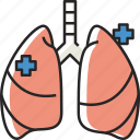 lungs, medical, organ, anatomy, virus, breath, healthcare