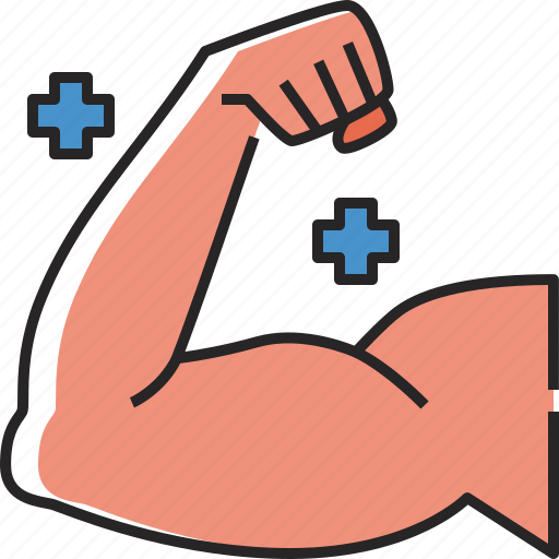Muscle, fitness, body, healthy, exercise, gym, health icon - Download on Iconfinder