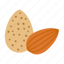 food, healthy, nut, almond, almonds, seed, kernel, bean