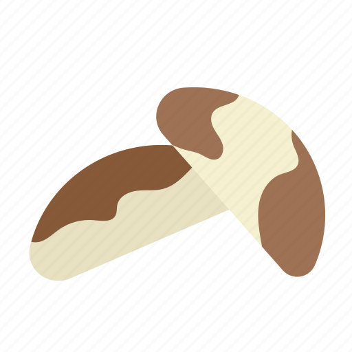 Brazil nuts, nuts, organic, food, nutrition, bean, nut icon - Download on Iconfinder