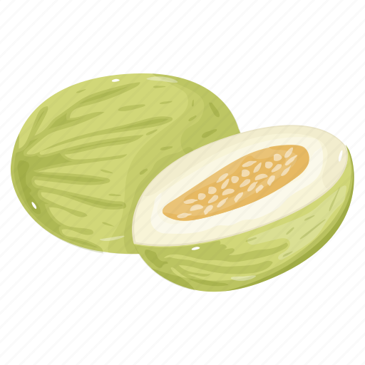Melon, cucumis melo, fruit, food, healthy diet icon - Download on Iconfinder