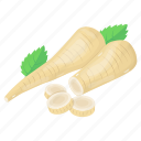 root vegetable, horseradish, radish, food, organic diet, edible