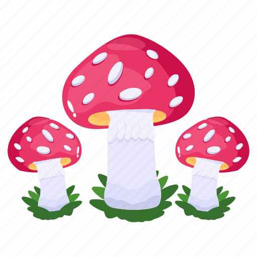 Agaricus bisporus, fungi, mushrooms, toadstools, edible icon - Download on Iconfinder