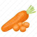 vegetable, carrot, daucus carota, food, organic diet \
