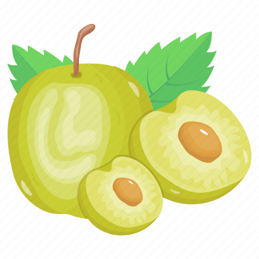 Green jujube, jujube apple, fruit, apple, edible icon - Download on Iconfinder