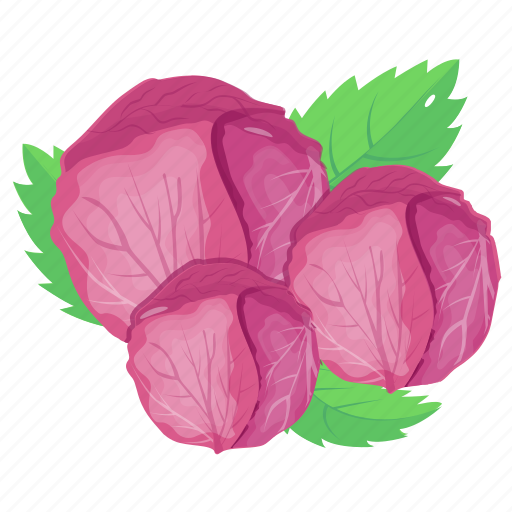 Brassica oleracea, red cabbage, vegetable, food, edible \ icon - Download on Iconfinder