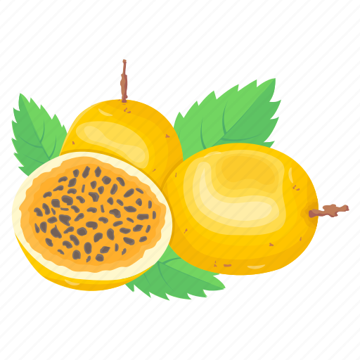 Passion fruit, edible, fruit, healthy food, diet icon - Download on Iconfinder