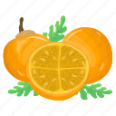 grapefruit, mandarin, citrus fruit, healthy food, fruit
