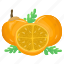 grapefruit, mandarin, citrus fruit, healthy food, fruit 