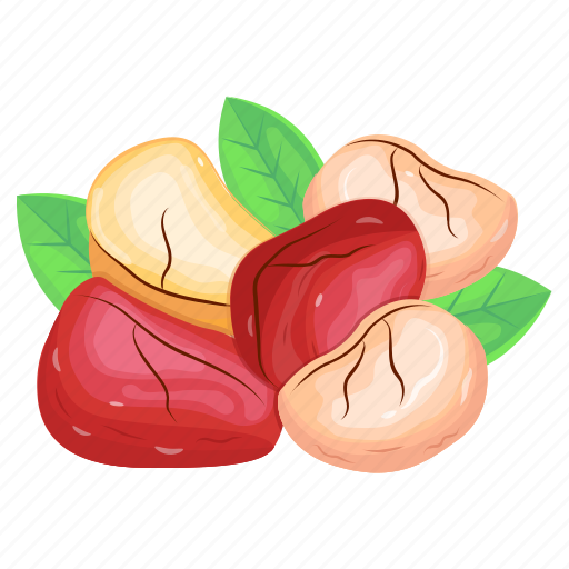 Kola seeds, kola nuts, nuts, dry fruit, cola acuminata icon - Download on Iconfinder