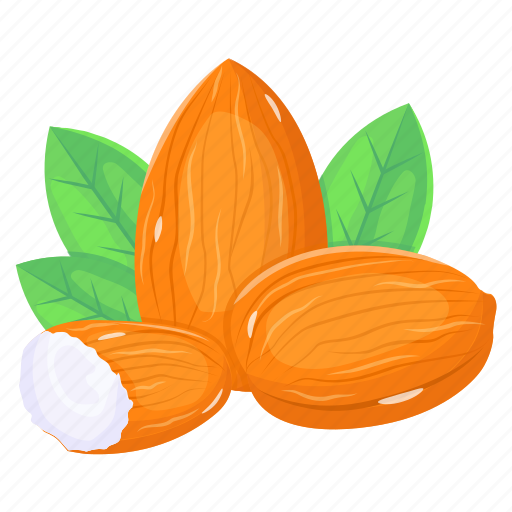 Almonds, prunus amygdalus, dry fruit, organic food, foodstuff icon - Download on Iconfinder