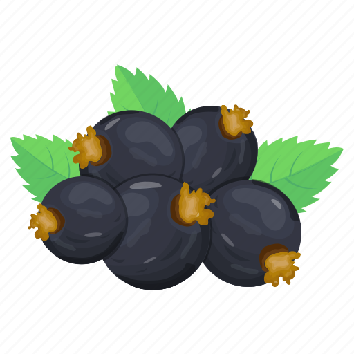 Ribes nigrum, blackcurrant, berries, fruit, healthy food icon - Download on Iconfinder