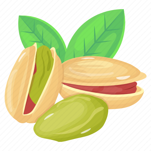 Pistacia vera, pistachios, dry fruit, nuts, organic food icon - Download on Iconfinder