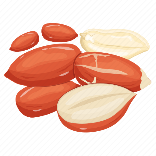 Groundnuts, peanuts, dry fruit, nuts, arachis hypogaea icon - Download on Iconfinder