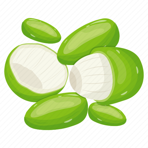 Kernels, lotus seeds, seeds, diet, food icon - Download on Iconfinder