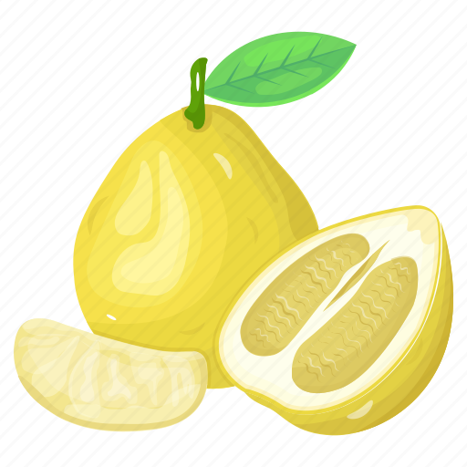 Fruit, shaddock, pomelo, healthy food, organic food icon - Download on Iconfinder