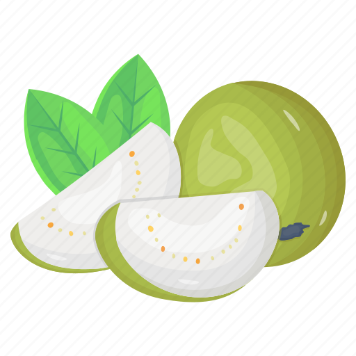 Fruit, guava, psidium guajava, healthy food, organic food icon - Download on Iconfinder