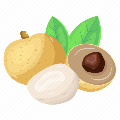 Dimocarpus longan, longan, fruit, food, healthy diet icon - Download on Iconfinder
