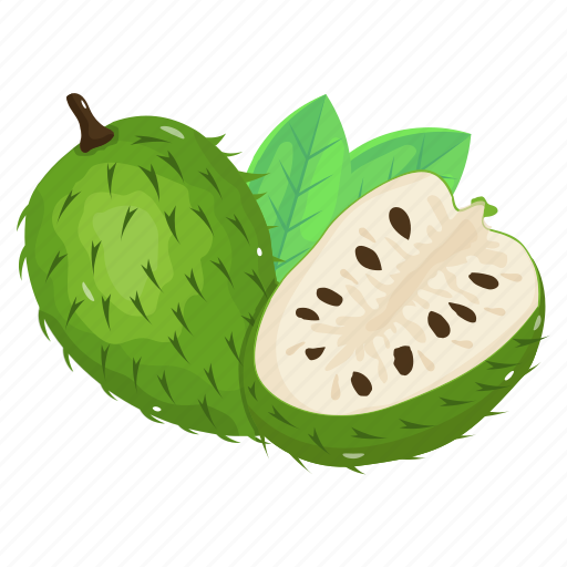 Custard apple, sugar apple, fruit, food, healthy diet icon - Download on Iconfinder