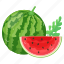 watermelon, cantaloupe, fruit, food, healthy diet 