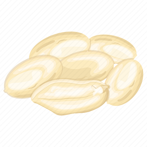 Groundnuts, peanuts, dry fruit, nuts, arachis hypogaea icon - Download on Iconfinder