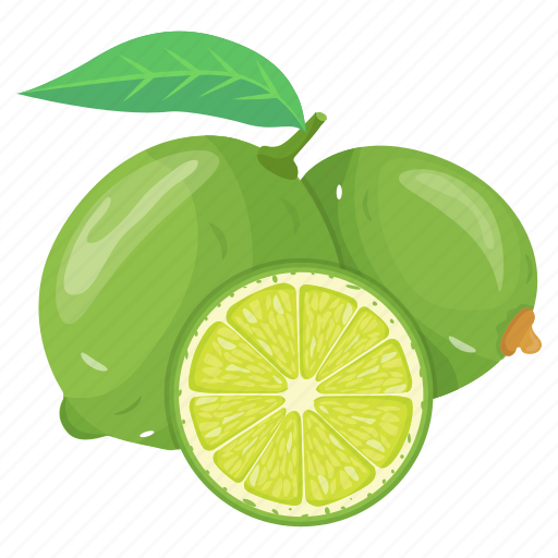 Grapefruit, citrus fruit, clementine fruit, food, fruit icon - Download on Iconfinder