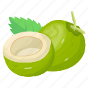 coco, coconut, coconut water, healthy food, tropical fruit