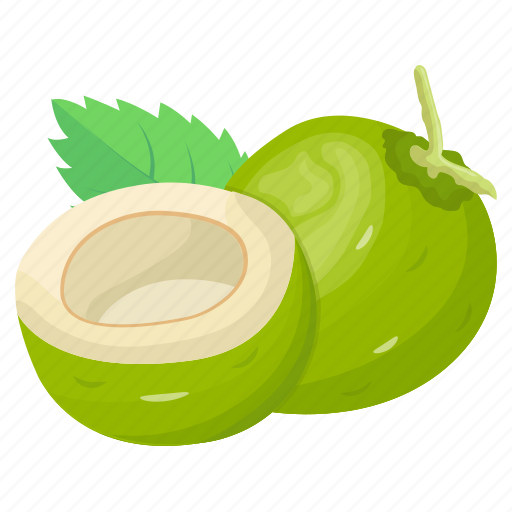 Coco, coconut, coconut water, healthy food, tropical fruit icon - Download on Iconfinder