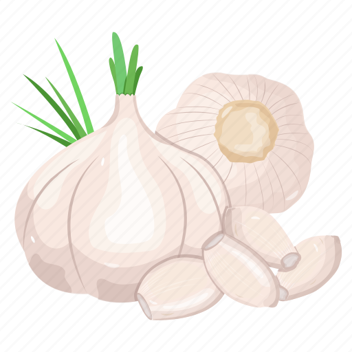 Vegetable, garlic, allium sativum, food, ingredient icon - Download on Iconfinder