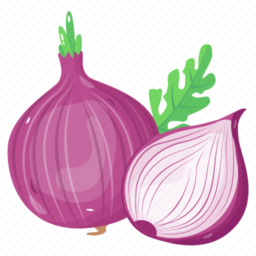 Vegetable, food, ingredient, onions, allium cepa icon - Download on Iconfinder