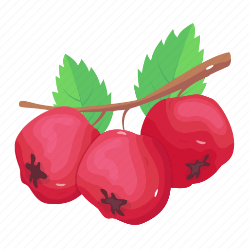 Fruit, hawthorn, berries, food, edible icon - Download on Iconfinder