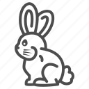 rabbit, bunny, holiday, chocolate, animal, ear, candy