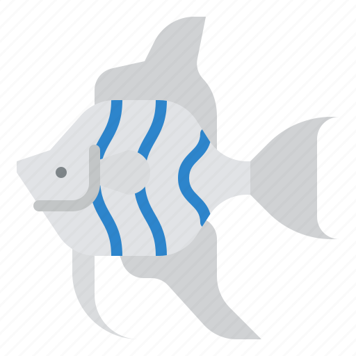 Angelfish, animal, ocean, sea, underwater, marine icon - Download on Iconfinder