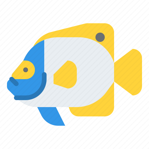 Blueface, angelfish, animal, ocean, sea, underwater, marine icon - Download on Iconfinder