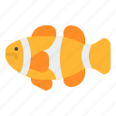 clownfish, animal, ocean, sea, underwater, marine