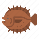 flounder, fish, animal, ocean, sea, underwater, marine