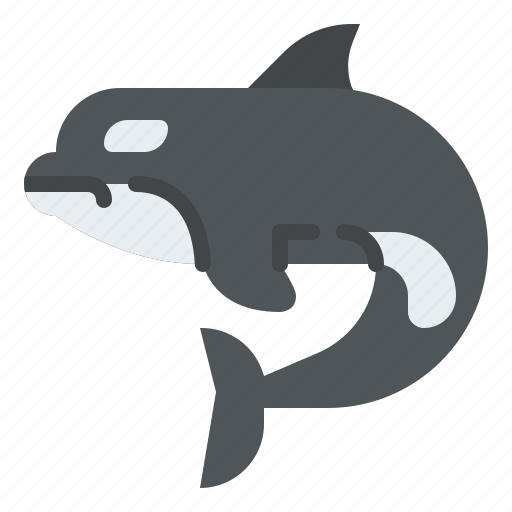 Killer, whale, animal, ocean, sea, underwater, marine icon - Download on Iconfinder
